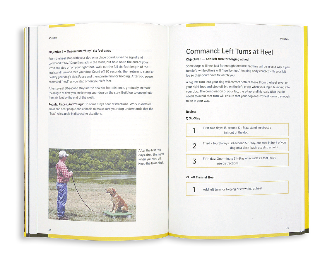 Dogtra Training Book