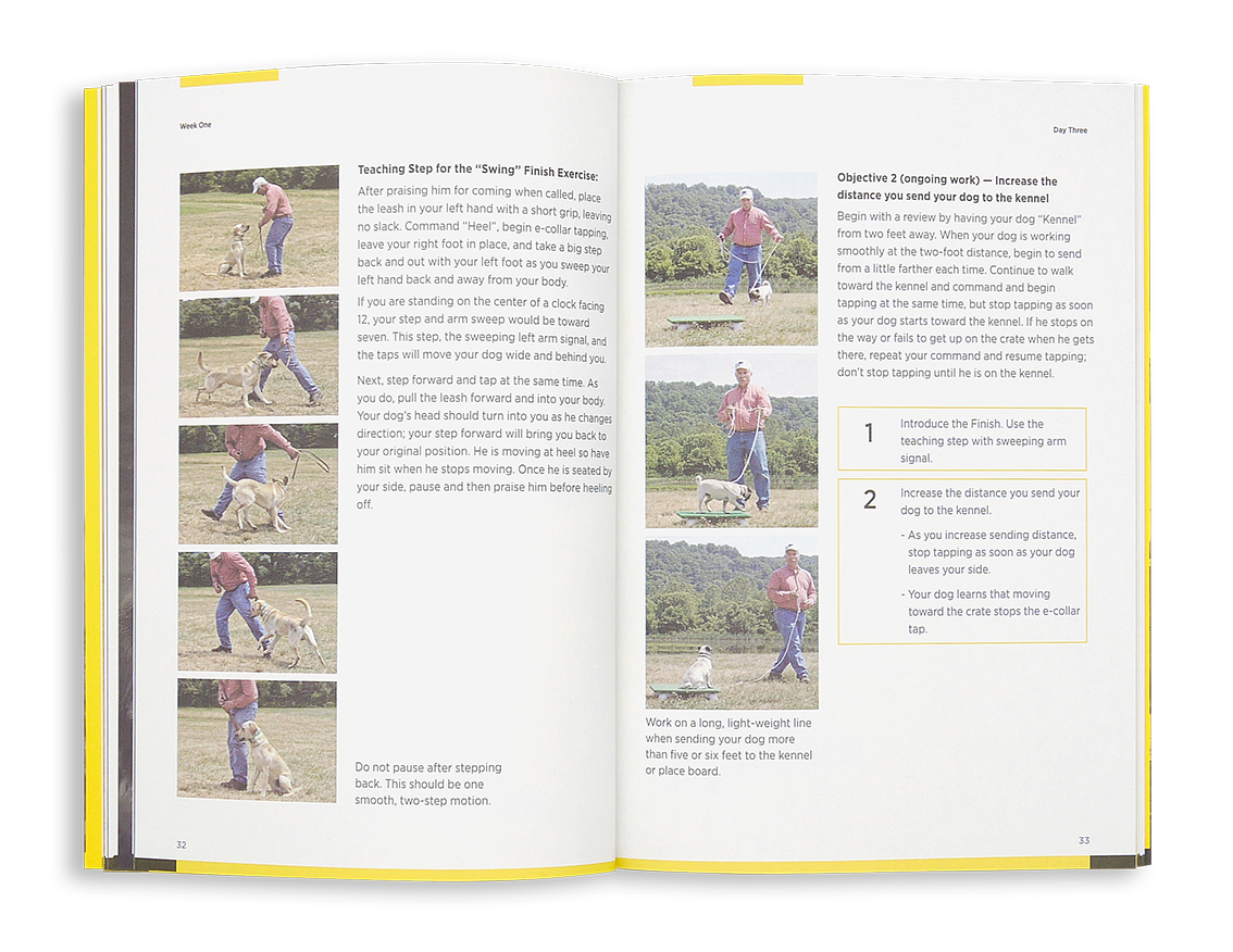 Dogtra Training Book