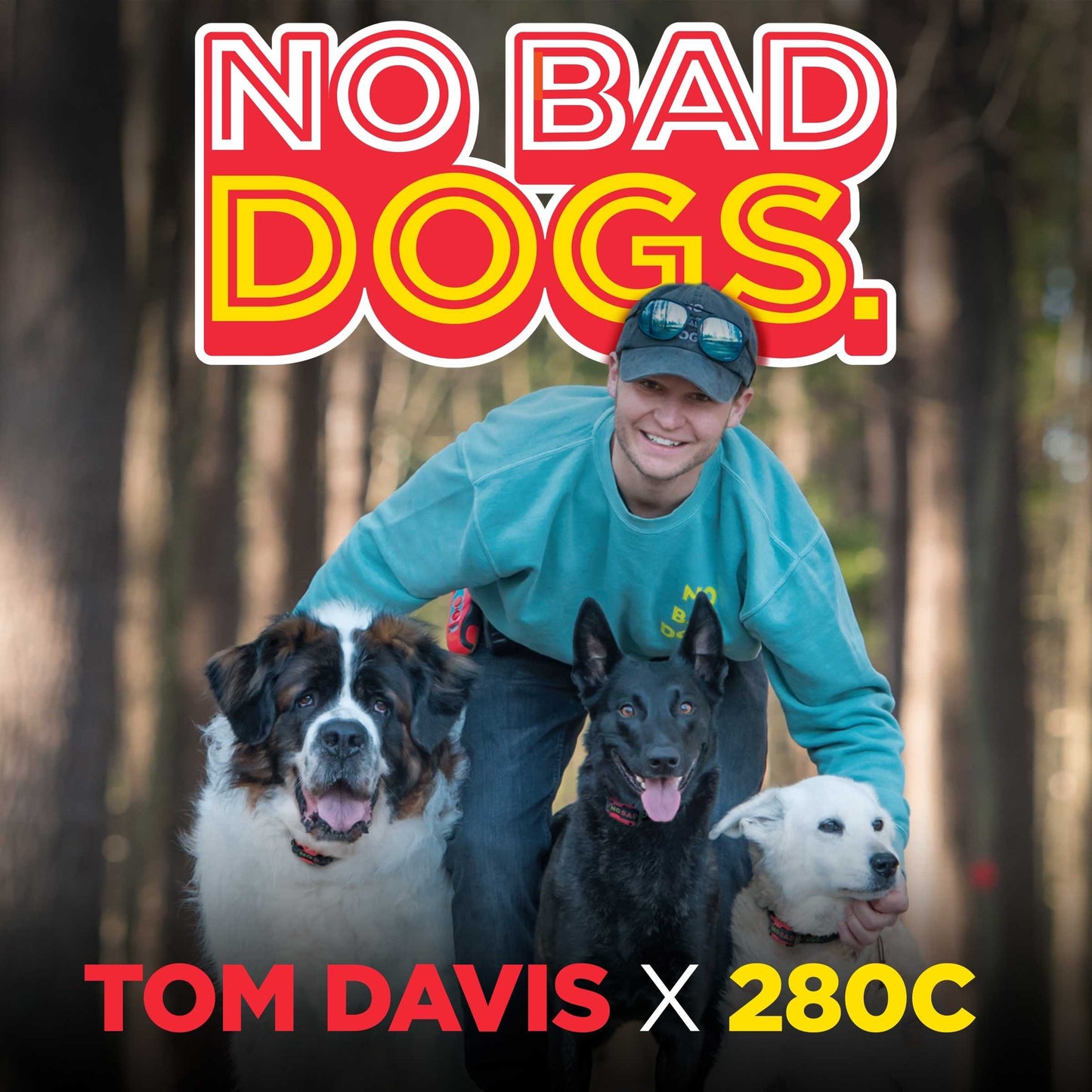 Dogtra Tom Davis Edition 280C B&L