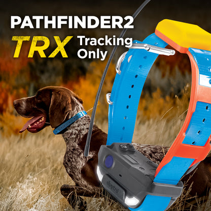 Dogtra Pathfinder2 Trx Add. Collar Blue
