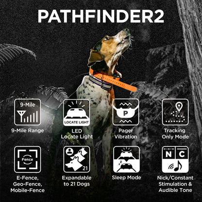 Dogtra Pathfinder2 Add. Collar Black