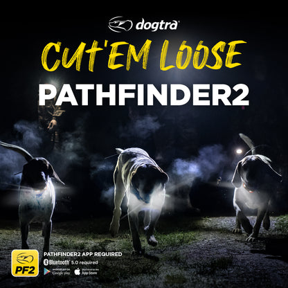 Dogtra Pathfinder2 Add. Collar Black