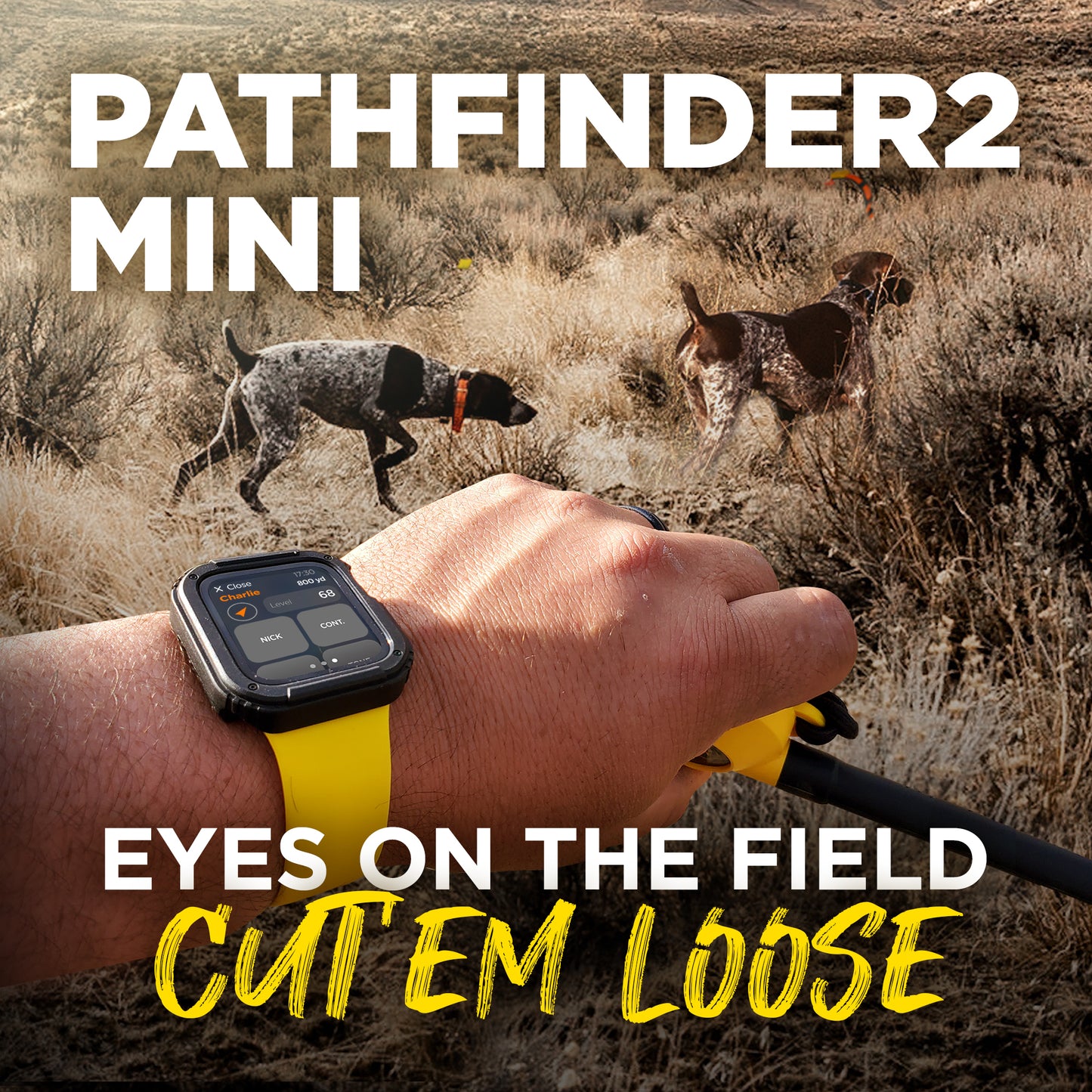 Dogtra Pathfinder2 Mini