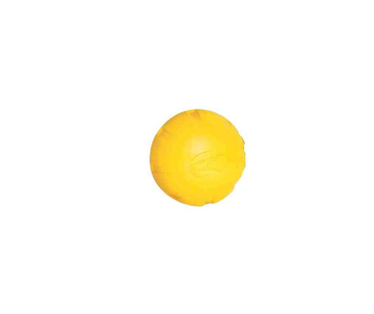 Dogtra Yellow Training Ball 1 Ct