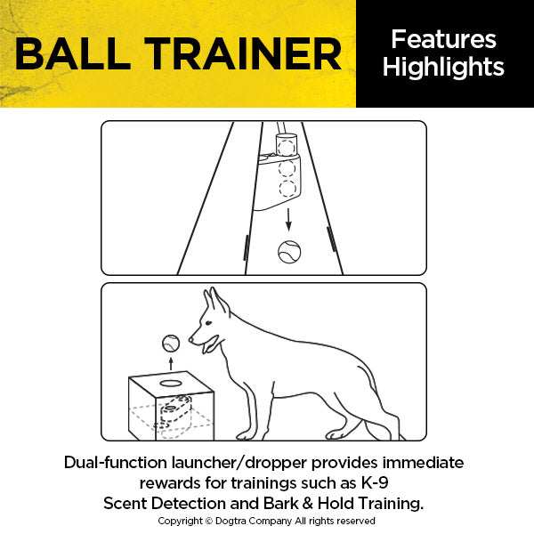Dogtra Ball Trainer