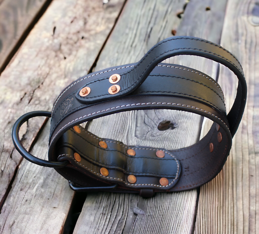 SkollHati 2" Dark Leather Agitation Collar with handle
