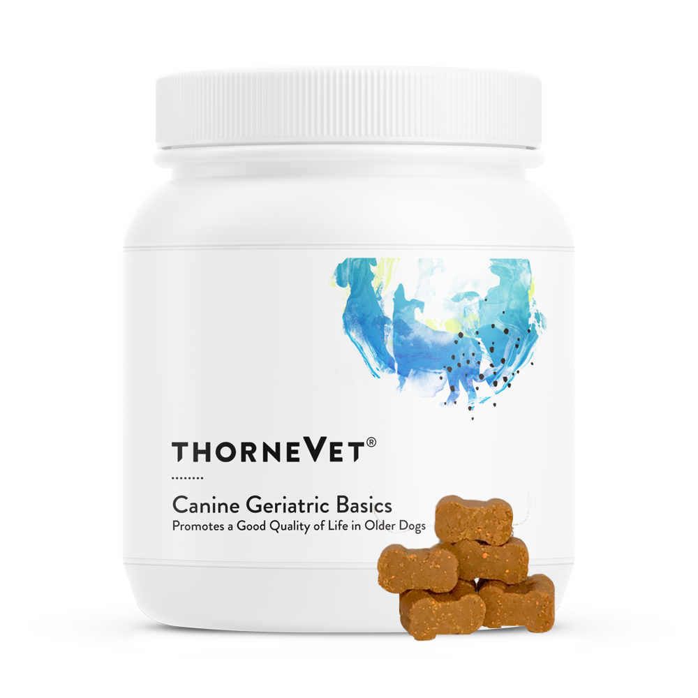 Thornevet - Canine Geriatric Basics Soft Chews