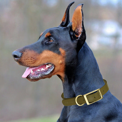 Viper Biothane Waterproof Dog Collar - Brass Hardware - Size XS (9" - 12")