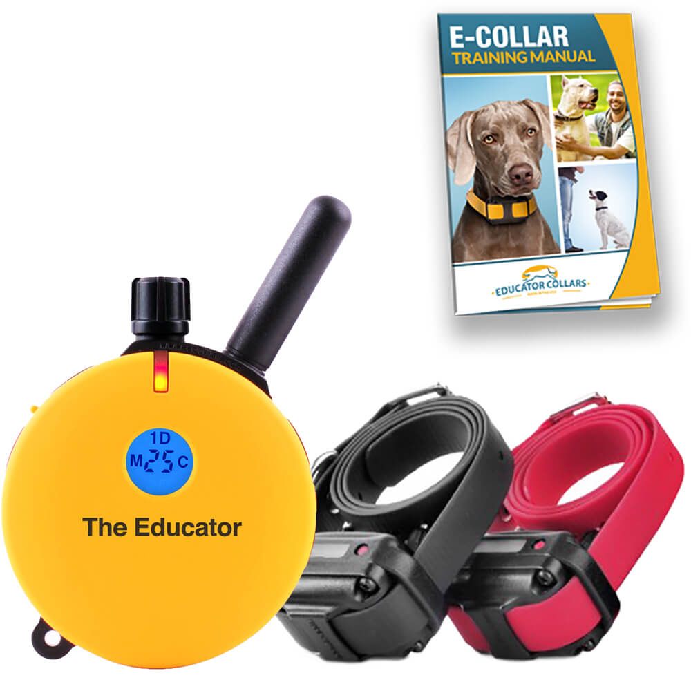 Educator Collars ET-400