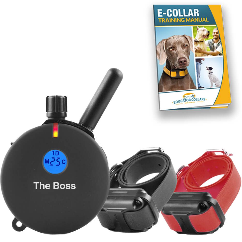 Educator Collars ET-800 The Boss